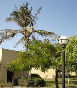 Hotel Capital O 133 Al Sawadi Beach Resort & Spa - Bild 5