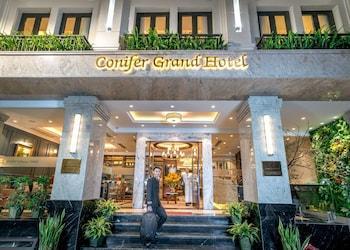 Conifer Grand Hotel - Bild 2