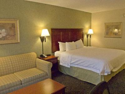 Hotel Hampton Inn Ithaca - Bild 3