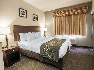 Hotel Comfort Suites Elgin - Bild 3