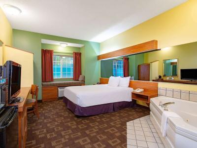 Hotel Microtel Inn & Suites by Wyndham Charlotte/Northlake - Bild 3