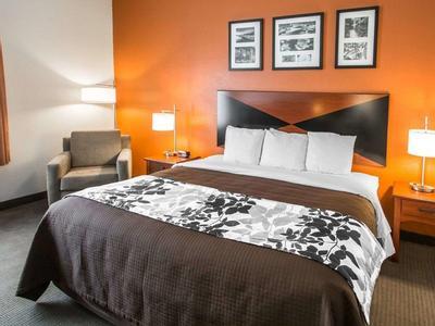 Hotel Sleep Inn & Suites Palatka North - Bild 2