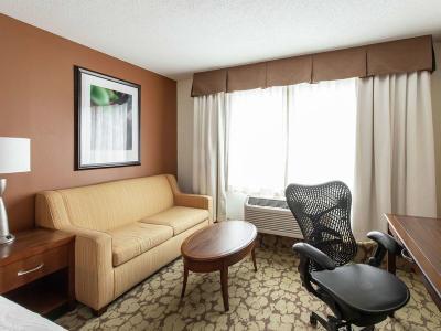Hotel Hilton Garden Inn Orlando at SeaWorld - Bild 5