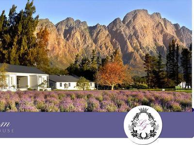 Hotel Lavender Farm Guest House - Bild 5
