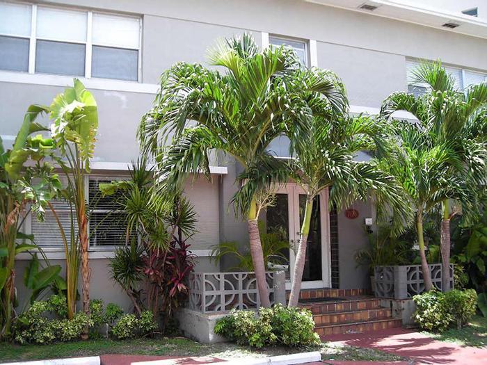 Hotel Freehand Miami - Bild 1