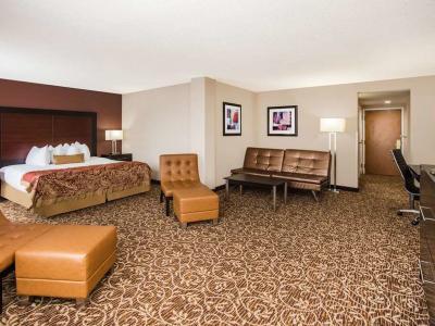 Hotel Wingate by Wyndham Atlanta Galleria/Ballpark - Bild 5