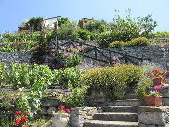 Il Borgo di Campi - Monterosso