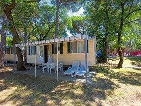 Belvedere Pineta Camping Village - Mobile Homes Green Holiday