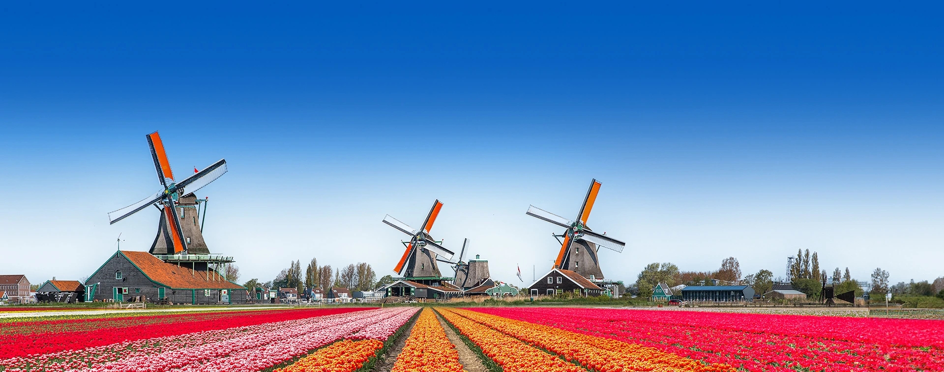 Last Minute Niederlande