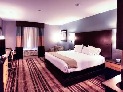 Holiday Inn Express Hotel & Suites Amarillo (West) - Bild 5